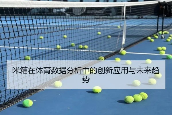 米箱在体育数据分析中的创新应用与未来趋势